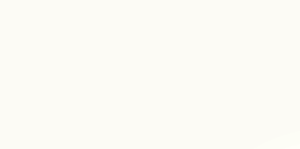ARTIC WHITE